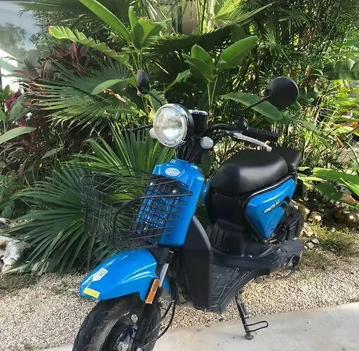 Apartamento Mya Aldea Zamá *